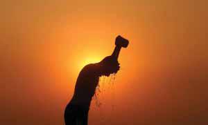 January Sets 'Surprising' Heat Record: EU Monitor