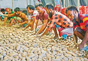 Cold Storage Owners Demand Cut in Interest Rates, Electricity Tariffs