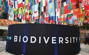 World Agrees Hard-Fought Nature Funding Plan at UN Talks