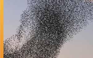 2025 World Energy Issues Monitor Reinforces Central Role of World Energy Trilemma