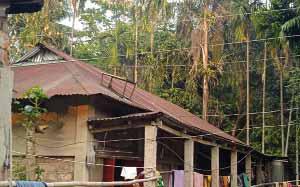 Unplanned Power Lines Raise Risk of Electrocution