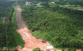 Make Progress on Deforestation Pledge, Nations Urged Before COP30