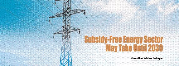Subsidy-Free Energy Sector May Take Until 2030