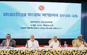 FY26 Budget Targets Waste, Mismanagement: Energy Adviser