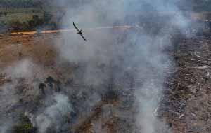 Brazil Fires Drive Acceleration in Amazon Deforestation: Report