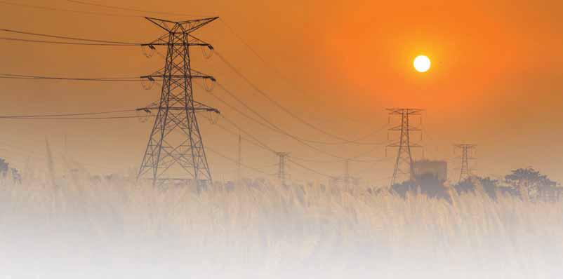 Lack Of Professionalism Hinders Development Of Bangladesh Energy Sector