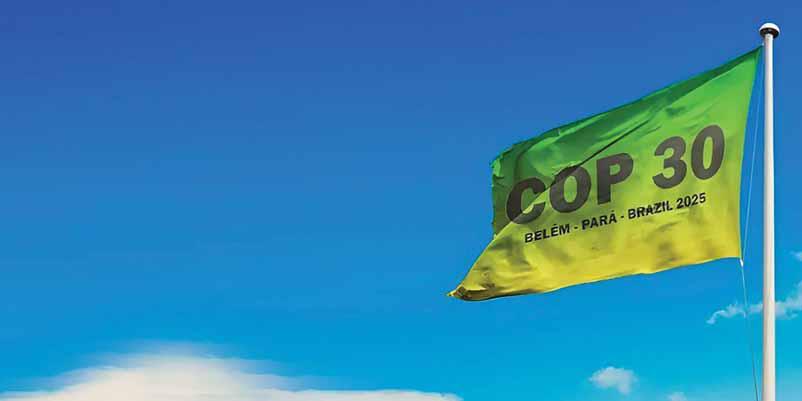 From "Don't Look Up" to COP29: A Real-Life Satire on Climate Inaction