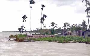 Workshop Unveils Climate Justice Initiative