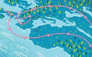 Carbon Offsets Market Set for Revival: GlobalData