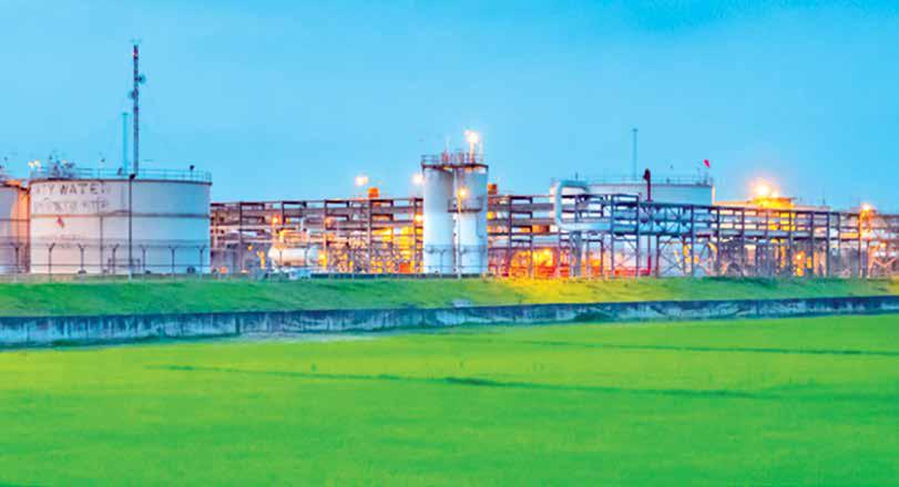 Too Much Expected, Too Little Delivered