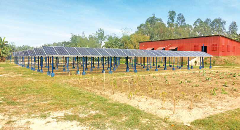 Powering Resilience: Why Distributed Solar Is Bangladesh's Climate Lifeline