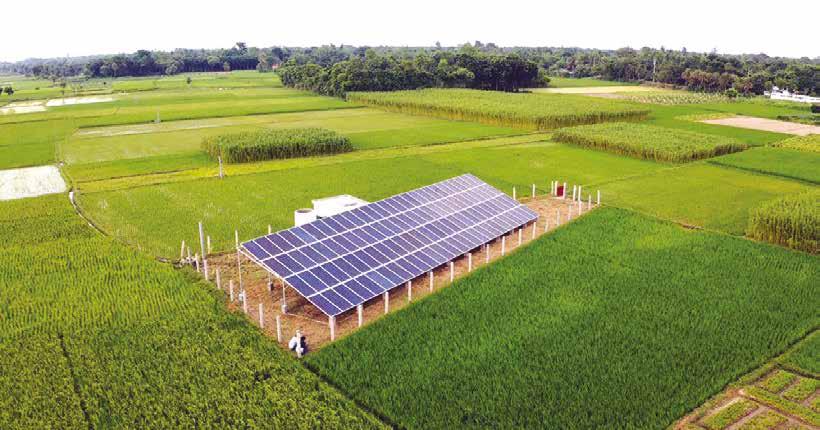 Opportunities And Challenges For Bangladesh In Achieving Climate Resilience