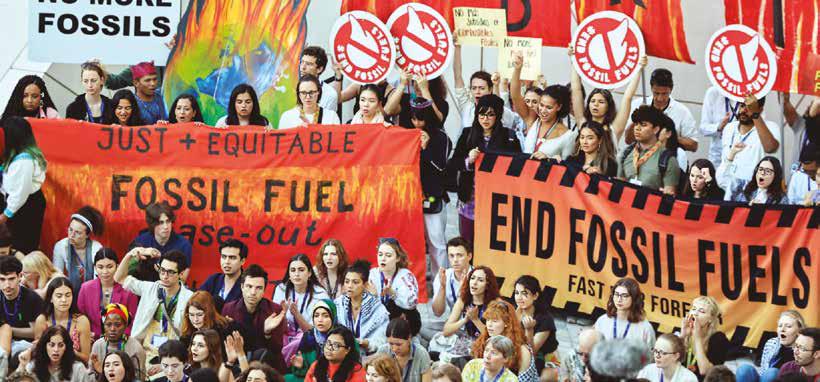 THE CREDIBILITY TEST- Subsidies, Pricing, and Investment Choices at COP 30