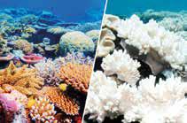 Climate Tipping Points Being Crossed, Scientists Warn