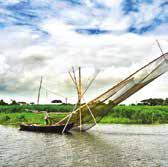 Rizwana Calls for Integrated Efforts to Restore Chalan Beel's Lost Glory