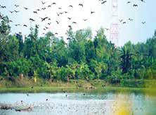 Govt to Declare 4 Areas in 4 Dists as 'Special Biodiversity Conservation Area'