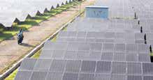 Cancellation of 31 Renewable Power Projects Hurts Investor Confidence: TIB