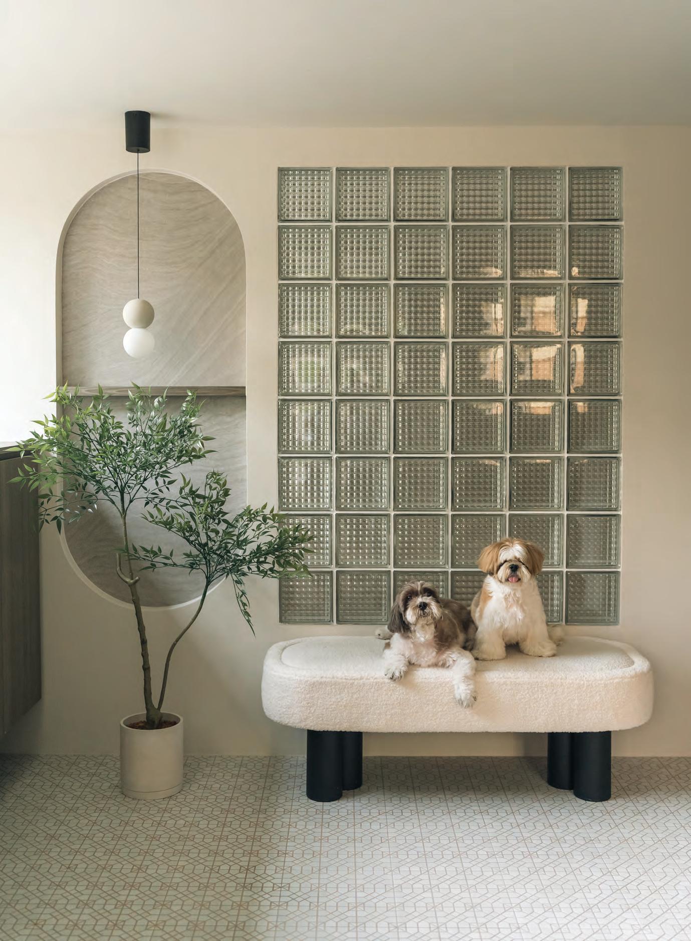 A Soft Minimalism That Breathes