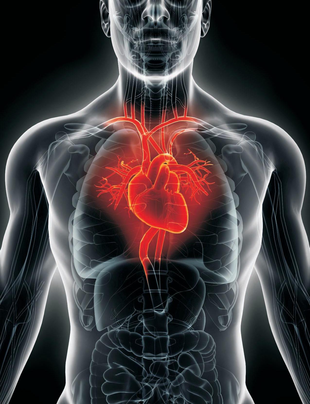 Ensure your heart health