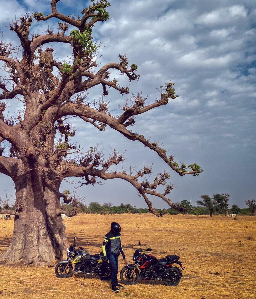 Senegal