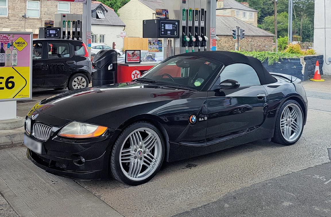 Oops, I've bought another leggy old Alpina