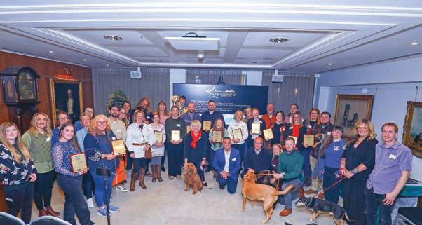 Scottish campsite wins top award at DogFriendly Awards