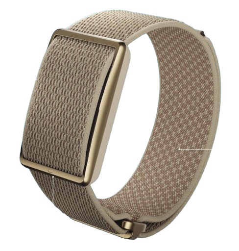 POLAR LOOP