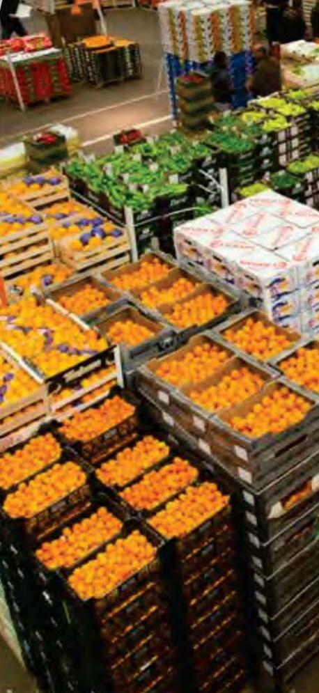 फल-सब्जियों के स्टोर के लिए एलईडी आधारित तकनीक