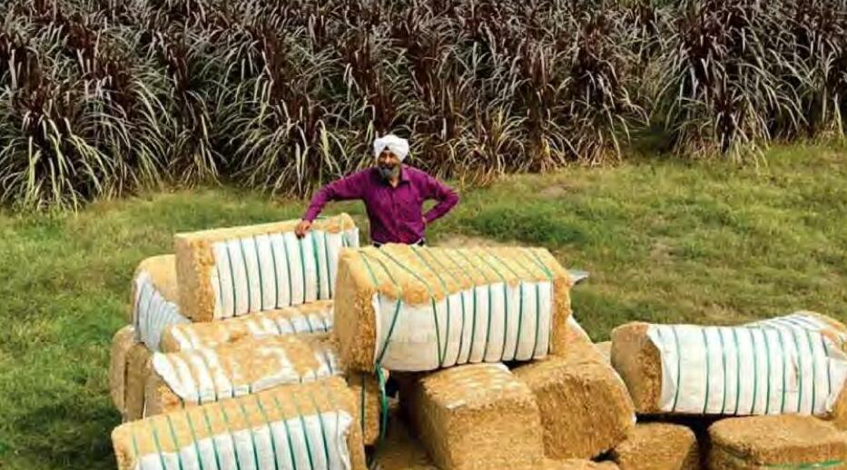 सूखे चारे को पौष्टिक बनायें, पशुधन को उत्पादक बनायें