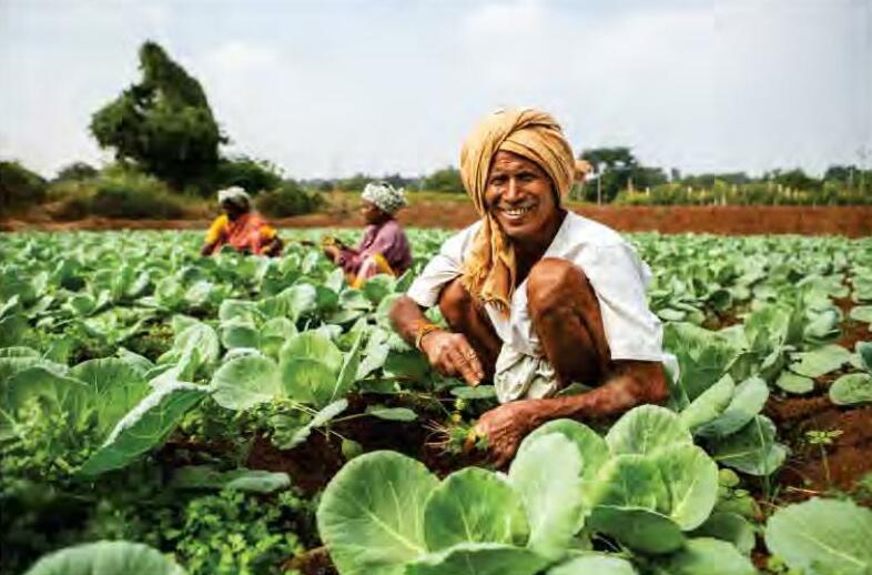 कृषि क्षेत्र में बढ़ा रोजगार