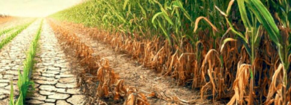 बदलते समय की जरुरत है सरक्षण खेती