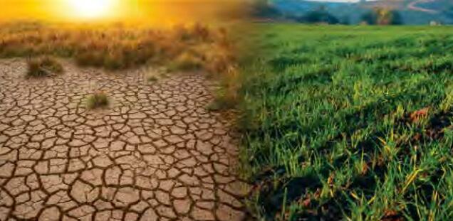 देश के आधे से अधिक जिले मौसमी बदलाव से प्रभावित