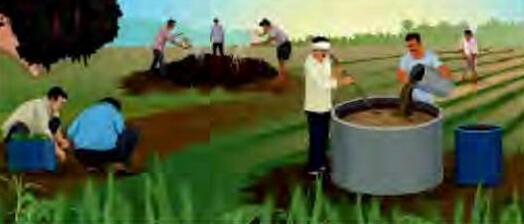 प्राकृतिक खाद्यों में विश्व का नेतृत्व करे भारत