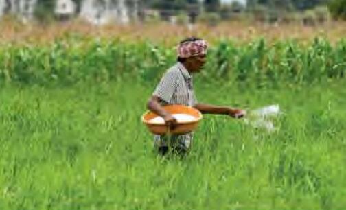 रासायनिक उर्वरक वरदान या अभिशाप