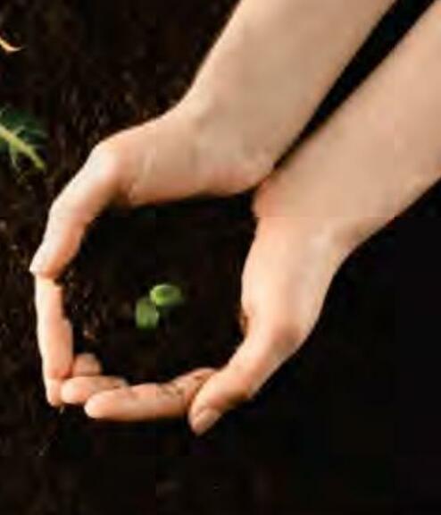 फसल अवशेष प्रबंधन अपनायें मृदा स्वास्थ्य बढ़ाएं