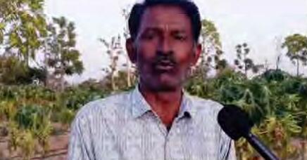 खेती और मधुमक्खी पालन से सफलता का इतिहास रचने वाले सफल किसान अशोक कुमार शर्मा