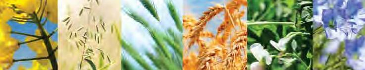 महज नौ फसलों पर ही निर्भर है कृषि उत्पादन