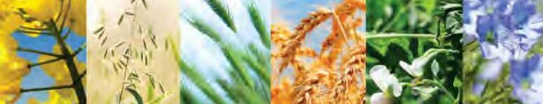 महज नौ फसलों पर ही निर्भर है कृषि उत्पादन