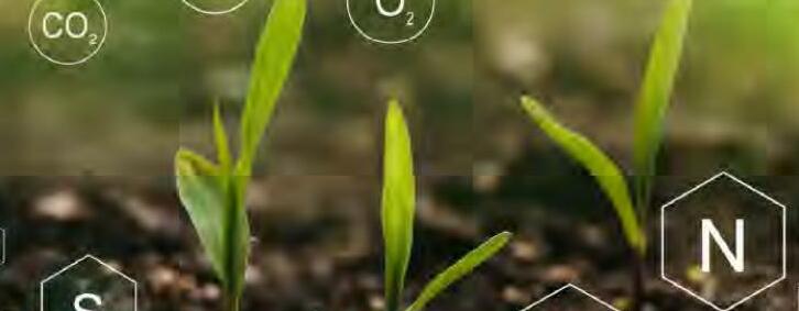 पौष्टिक रासायनिक खादों के लिए आवश्यक सग्रिडी