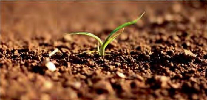 मिट्टी की उर्वरता और फसल उत्पादकता में सुधार कैसे करें?