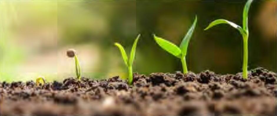 जैव उर्वरक उपयोग एवं सावधानियां