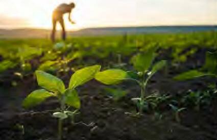 पुनर्योजी कृषि को उत्साहित करने की जरुरत