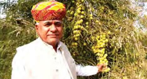 आंवले की खेती में सालाना डेढ़ करोड़ का टर्नओवर प्राप्त करने वाले सफल किसान-कैलाश चौधरी