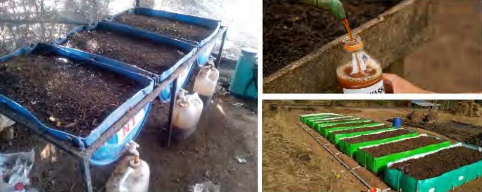 फसल विकास के लिए उपयोगी-वर्मीवाश