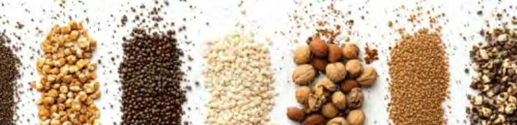 बीज उत्पादक बकानी रोग के लिये जिम्मेदार नहीं