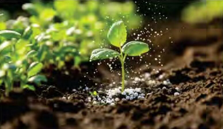 जैव उर्वरक- कम लागत अधिक लाभ