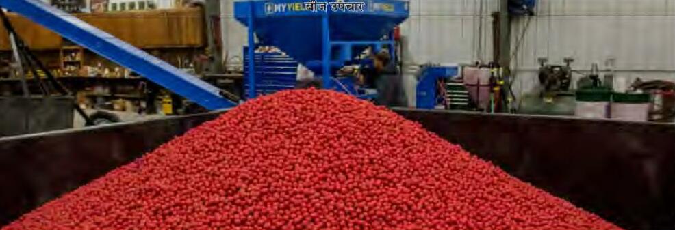 बीज उपचार के फायदे