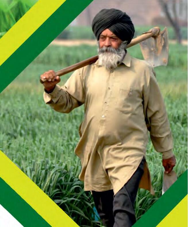 पंजाब की कृषि का स्वर्णिम अतीत और वर्तमान संकट