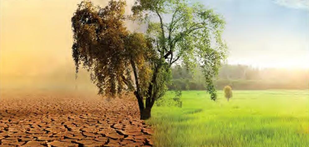 ग्लोबल वार्मिंग से होगा भारी नुक्सान