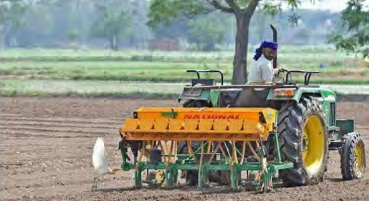 सीधी धान (DSR) की खेती की विधि किसानों के लिए वरदान या अभिशाप !